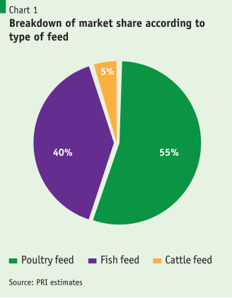 Feed feeds Bangladesh – Policy Insights